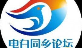 电白新闻爆料,最新爆料揭示事件真相